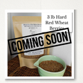 3 lb Hard Red Wheat Berries - FREE SHIPPING