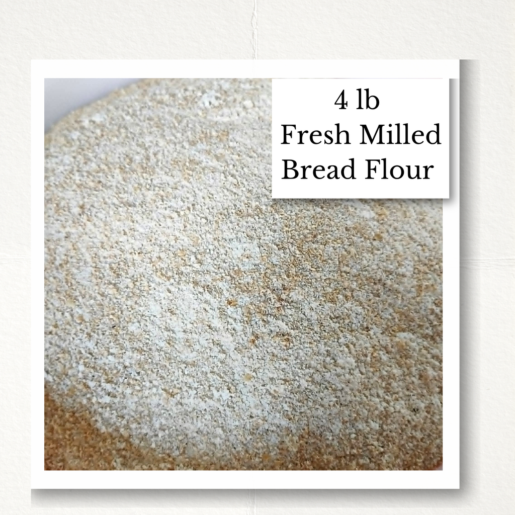 fresh milled bread flour