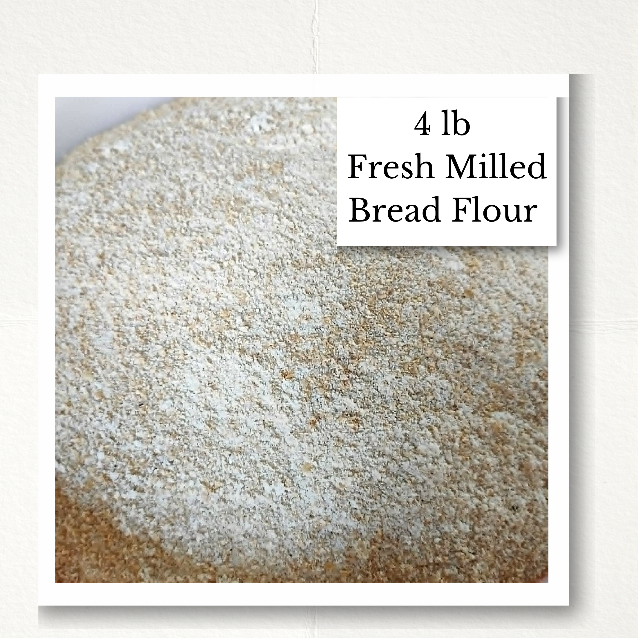 fresh milled bread flour